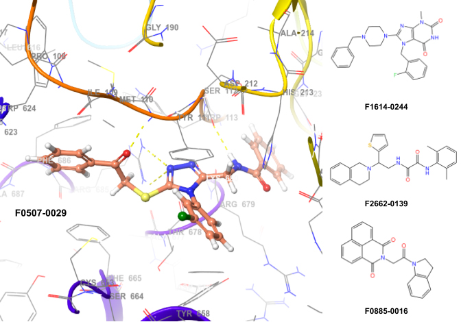 Targetmol | LF2900 | Image
