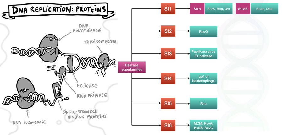 Targetmol | LF3300
 | Image
