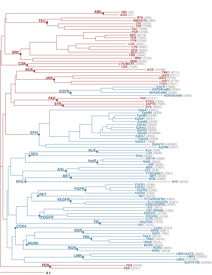 Targetmol | LF3900 | Image