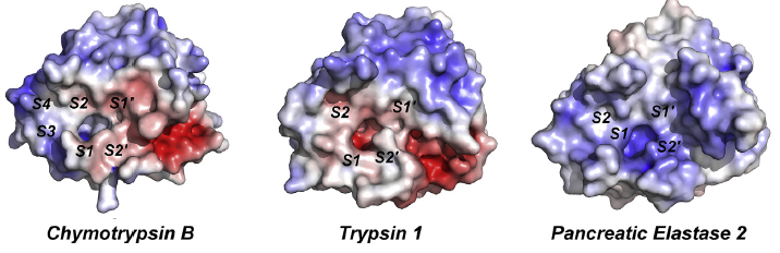Targetmol | LF6700
 | Image