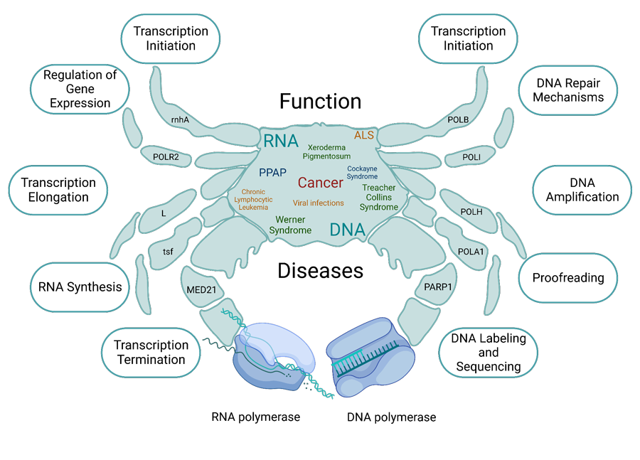 Targetmol | LF2700
 | Image