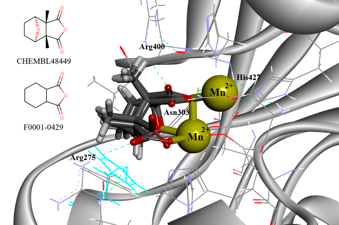 Targetmol | LF5600
 | Image