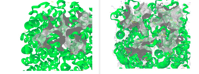 Targetmol | LF2100
 | Image