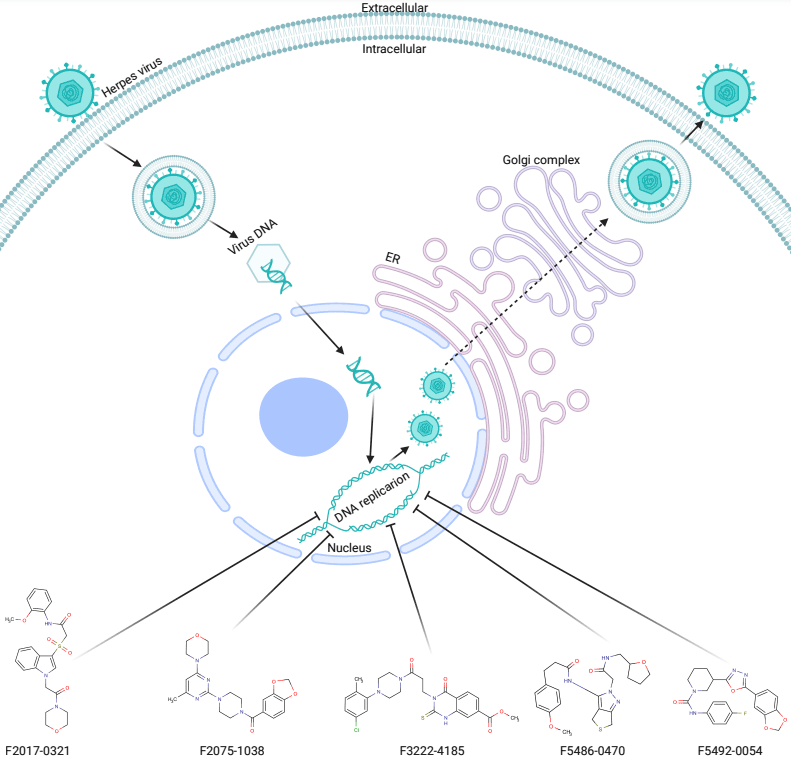 Targetmol | LF2700
 | Image