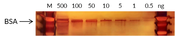 Targetmol | C0194
C0195
C0196
C0197
c0186 | Image