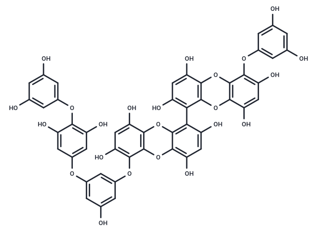 Pyrogallol-phloroglucinol-6,6-bieckol