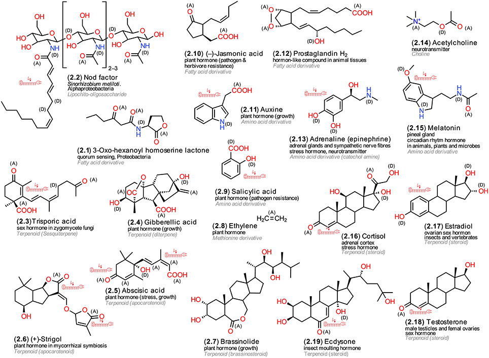 Targetmol | LF3400
 | Image