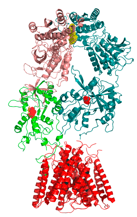 Targetmol | LF3500
 | Image