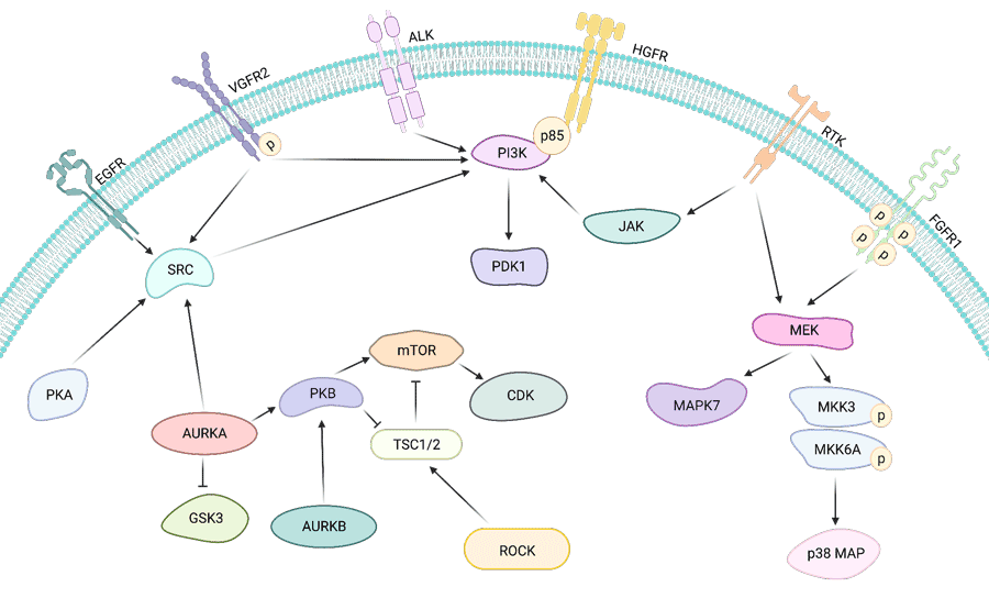 Targetmol | LF3800
 | Image