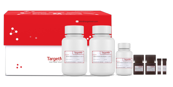 Protein Rapid Silver Stain Kit