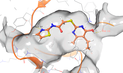 Targetmol | LF4300 Image
