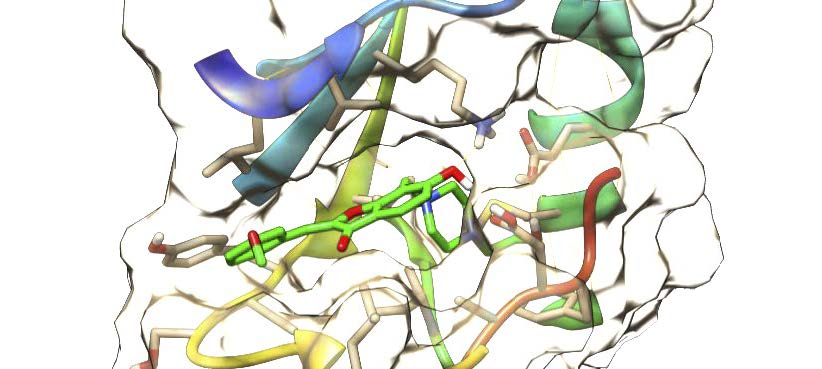Targetmol | LF4800
 | Image