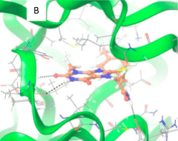 Targetmol | LF4900
 | Image