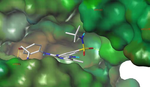 Targetmol | LF4700
 | Image
