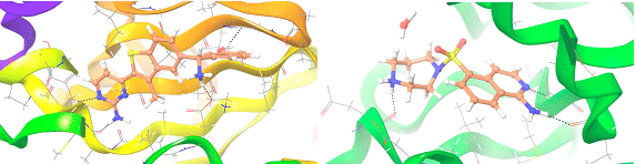 Targetmol | LF5200
 | Image