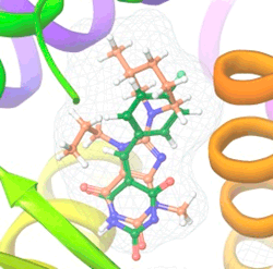 Targetmol | LF5800
 | Image