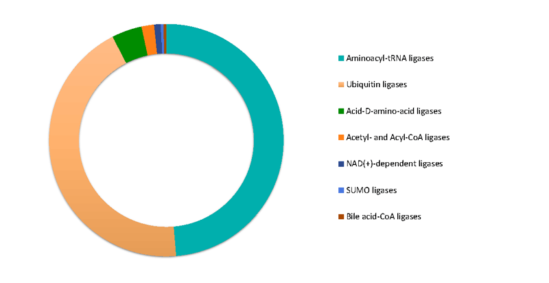 Targetmol | LF5400
 | Image