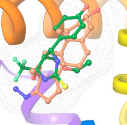 Targetmol | LF5800
 | Image