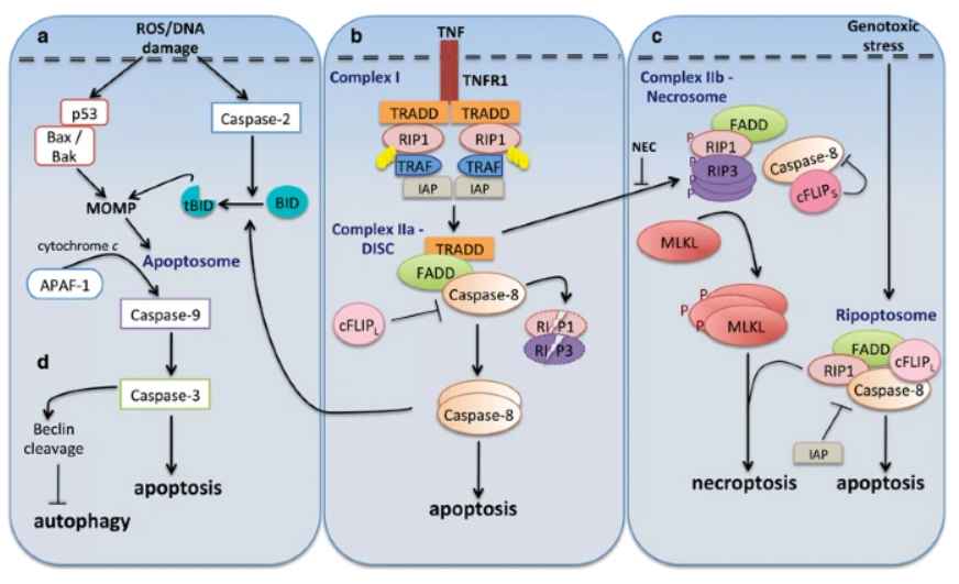 Targetmol | LF6400
 | Image