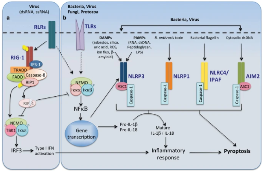 Targetmol | LF6400
 | Image
