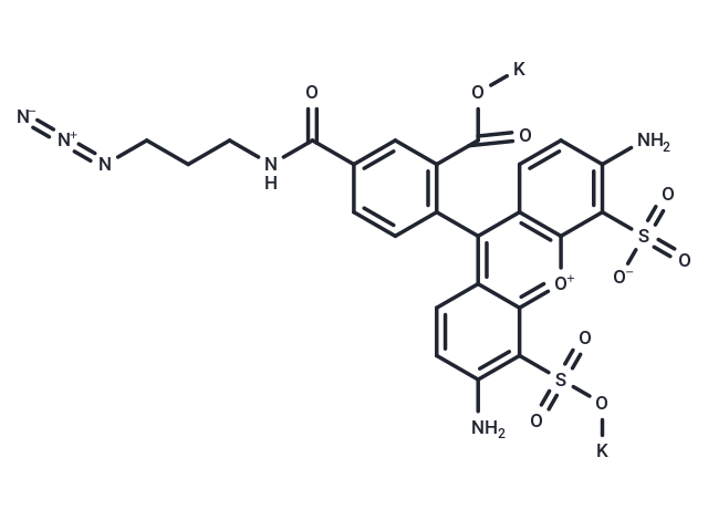 AF488 azide