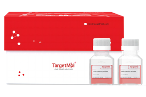 0.25% Trypsin-EDTA, phenol red (1×)
