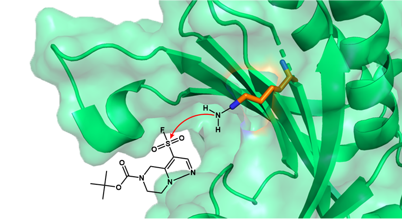 Targetmol | LF2240
 | Image