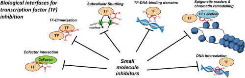 Targetmol | LF1018
 | Image