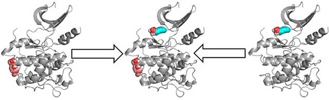 Targetmol | LF1034
 | Image