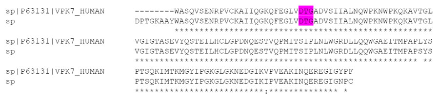 Targetmol | 
LF1033
 | Image