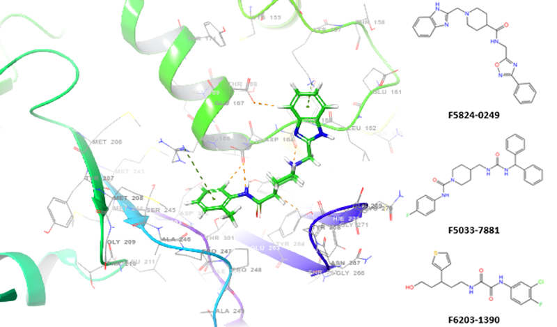  Cysteine Protease Screening Library