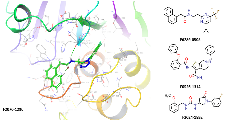 Cysteine Protease Screening Library