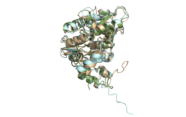 Targetmol | LF1036
 | Image