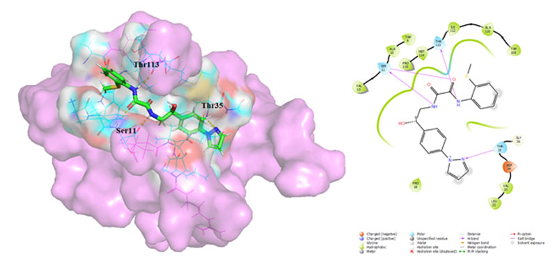 Targetmol | 
LF1033
 | Image