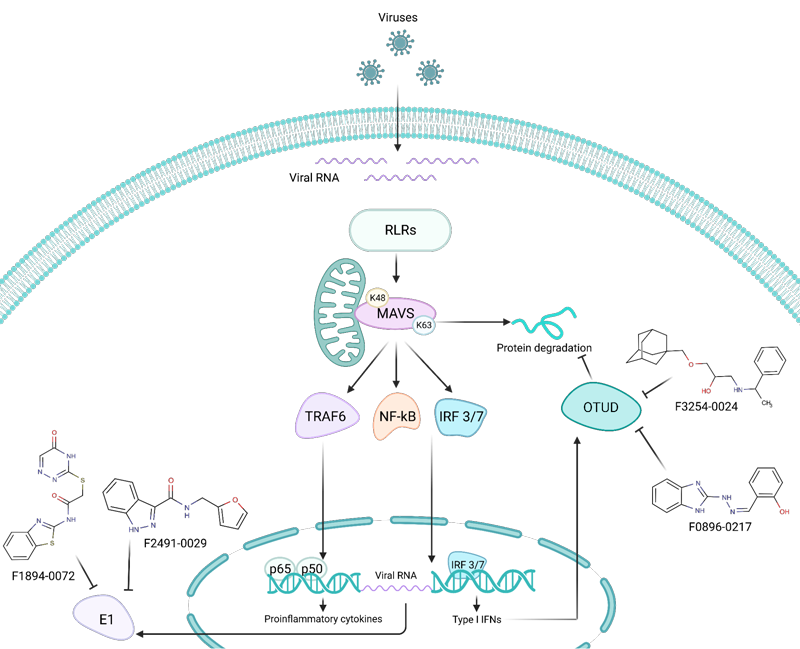 Targetmol | LF2600
 | Image