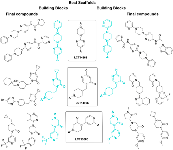  Scaffolds and Scaffold-based Compounds