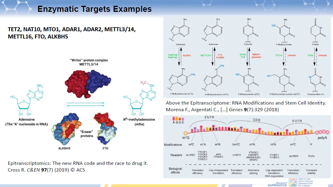  Epitranscriptome Focused Small Molecule Library