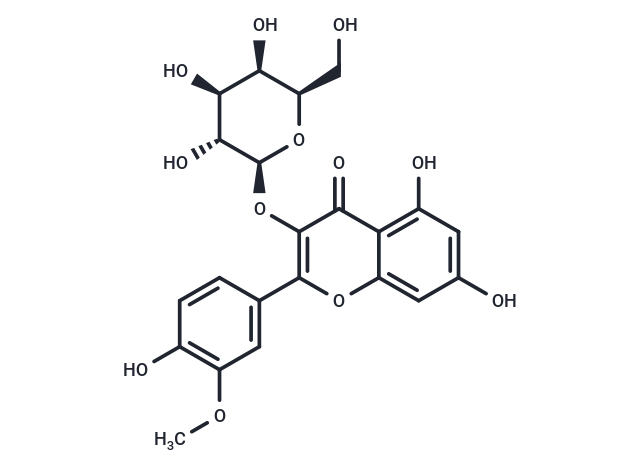 Isorhamnetin 3-O-galactoside (Standard)
