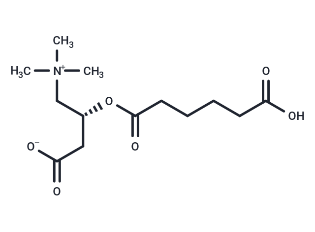 Adipoyl-L-carnitine