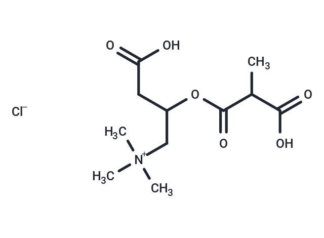 MethylMalonyl DL-Carnitine Chloride