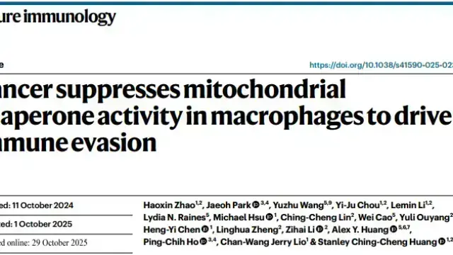 联合靶向TRAP1信号通路——打破TAMs的免疫抑制状态，提升抗肿瘤免疫反应
