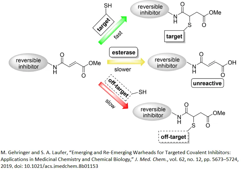  Cysteine Targeted Covalent Library