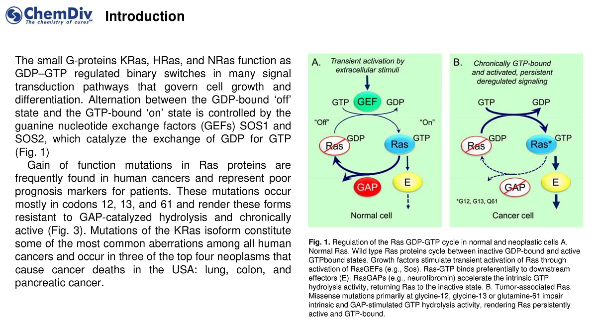  KRAS-Targeted Library