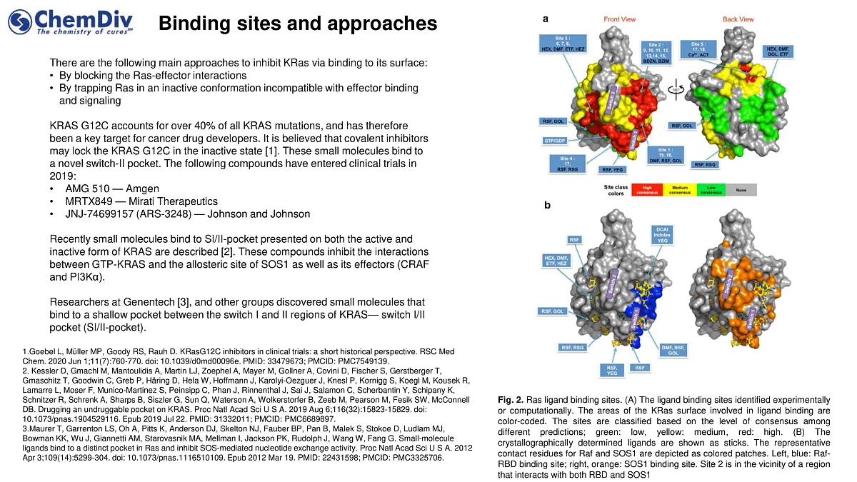  KRAS-Targeted Library