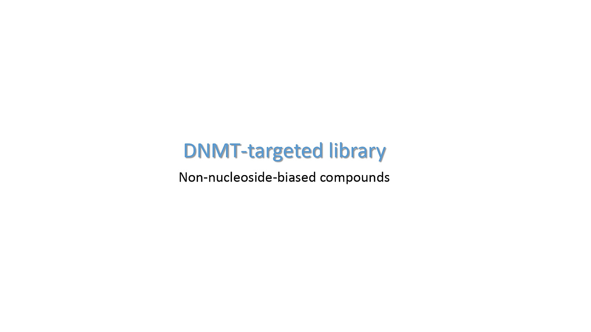  DNMT-Focused Library