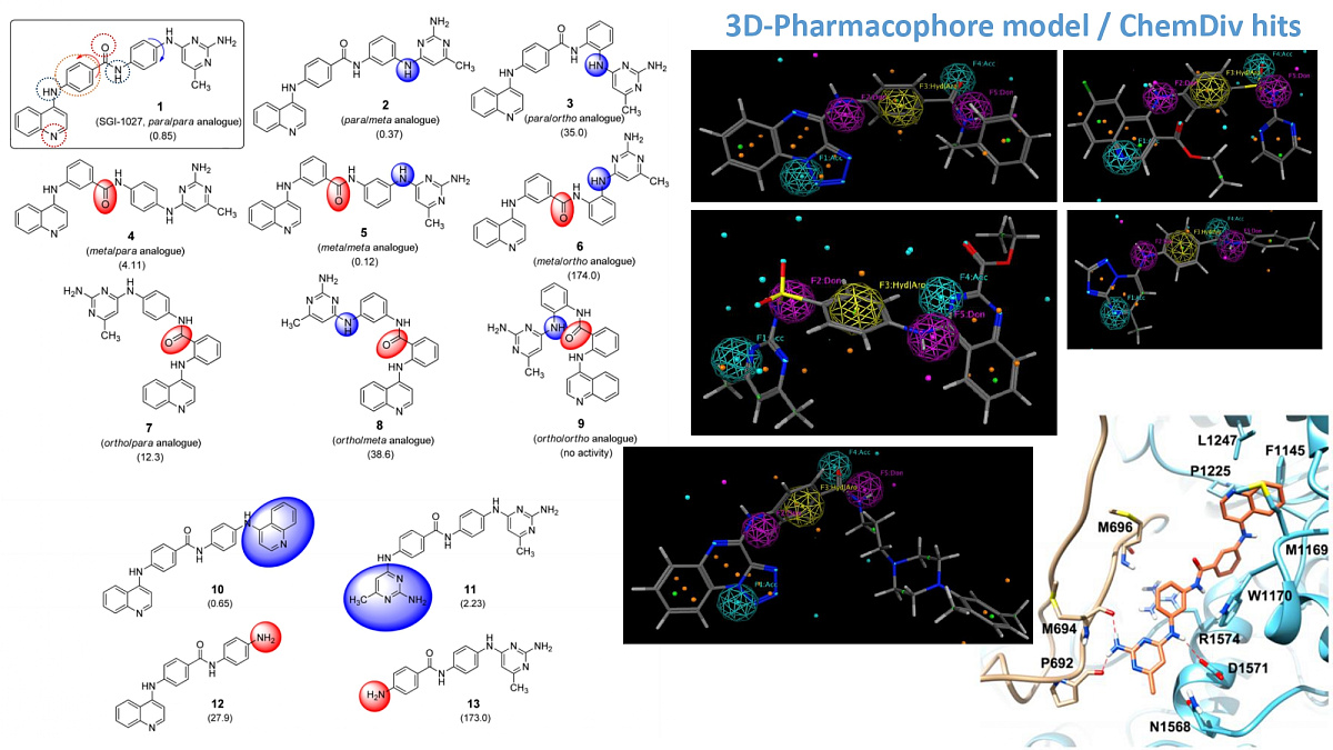  DNMT-Focused Library