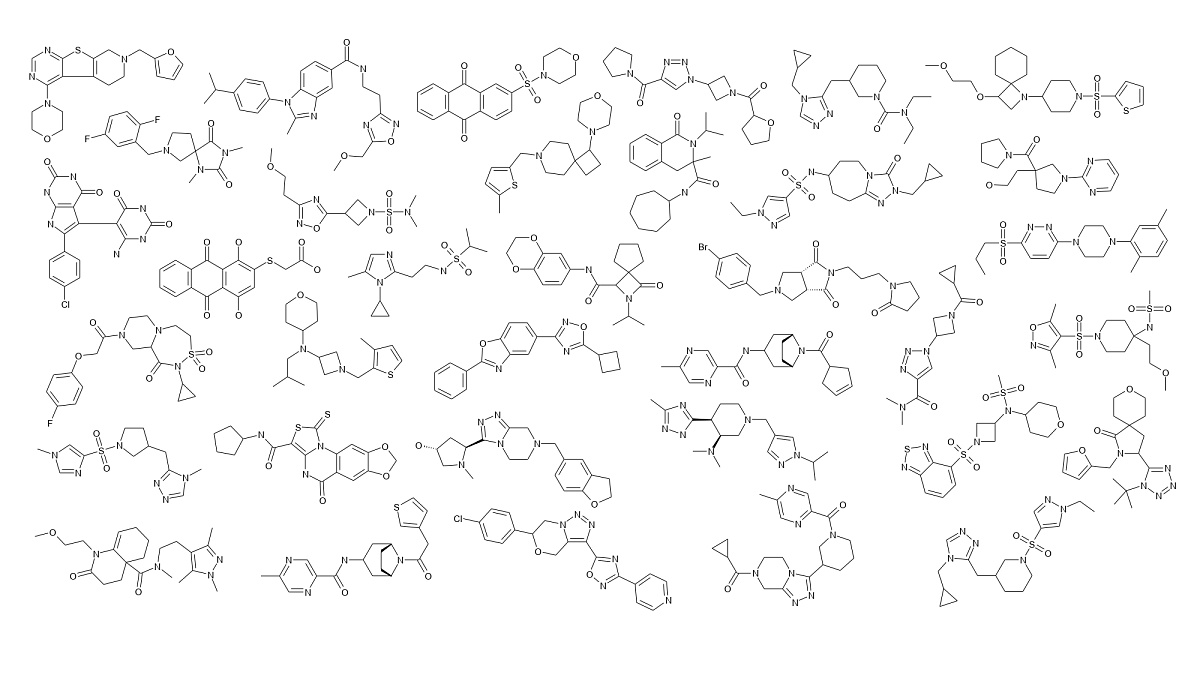  DNMT-Focused Library