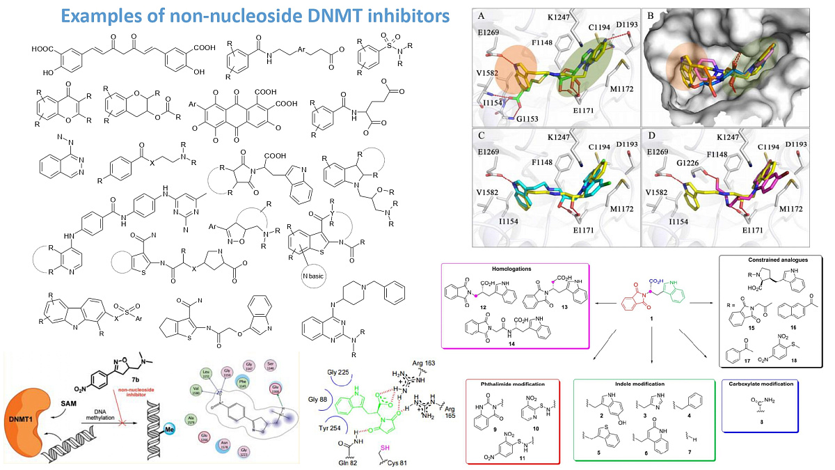  DNMT-Focused Library