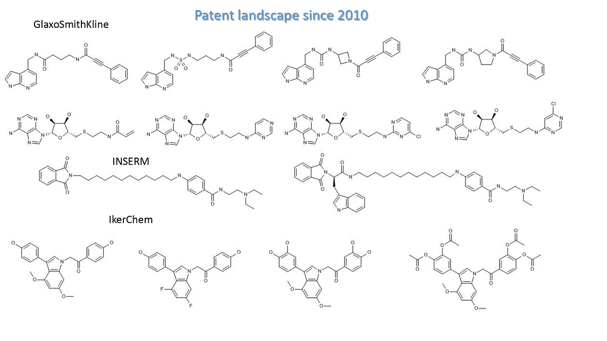  DNMT-Focused Library