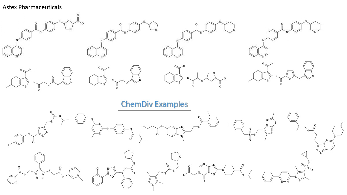  DNMT-Focused Library